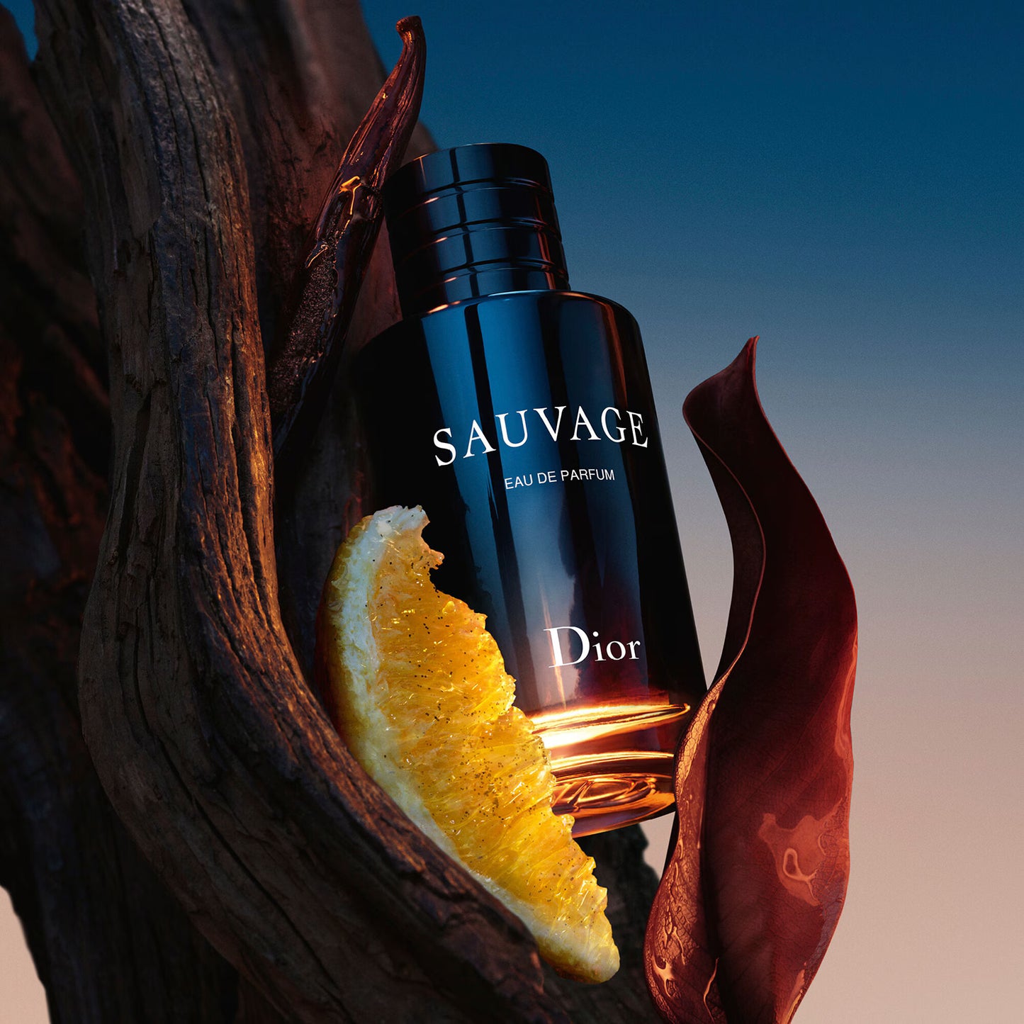 Sauvage - Eau de Parfum